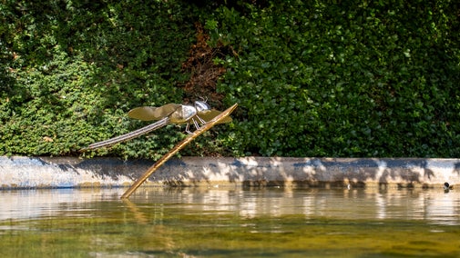 A large metal sculpture in the form of a dragonfly, within a pond